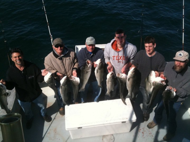 Striped Bass Fishing RI